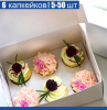Коробка для 6 капкейков 24*17*10 cм