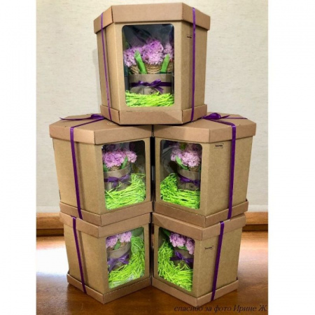 Коробка с окошками 20*20*20 см КРАФТ (Шесть граней, мгк, 3 части) Коробка с окошками 20*20*20 см КРАФТ (Шесть граней, мгк, 3 части)