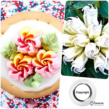 Насадка Цветок №104 Жасмин | L размер (Russian Flower Nozzle #104 - Jasmin | L size | By Tulip Workshop) Насадка Цветок №104 Жасмин | L размер (Russian Flower Nozzle #104 - Jasmin | L size | By Tulip Workshop)